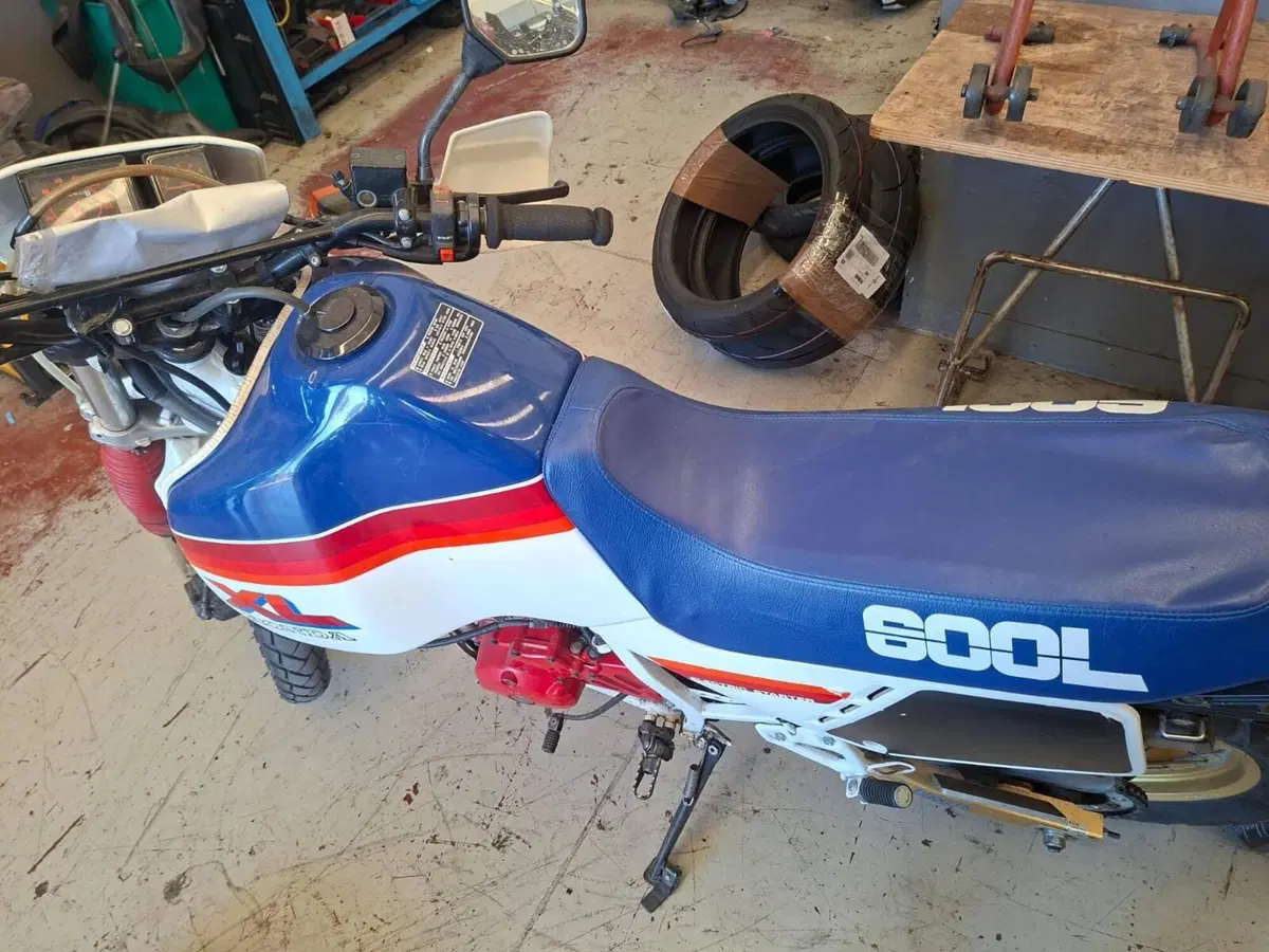 Honda XL600R (7)