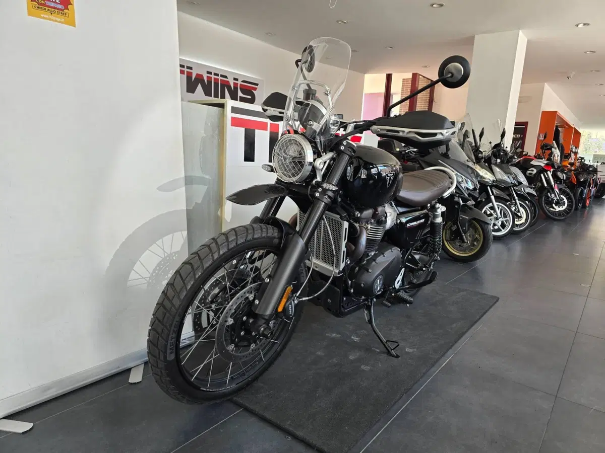 Triumph Scrambler 1200 X Icon Edition (2025 - 26) (4)