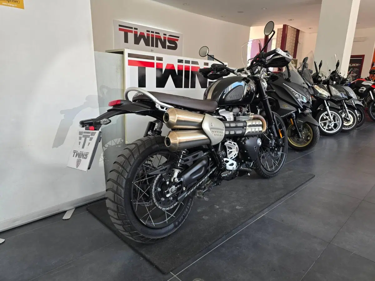 Triumph Scrambler 1200 X Icon Edition (2025 - 26) (8)