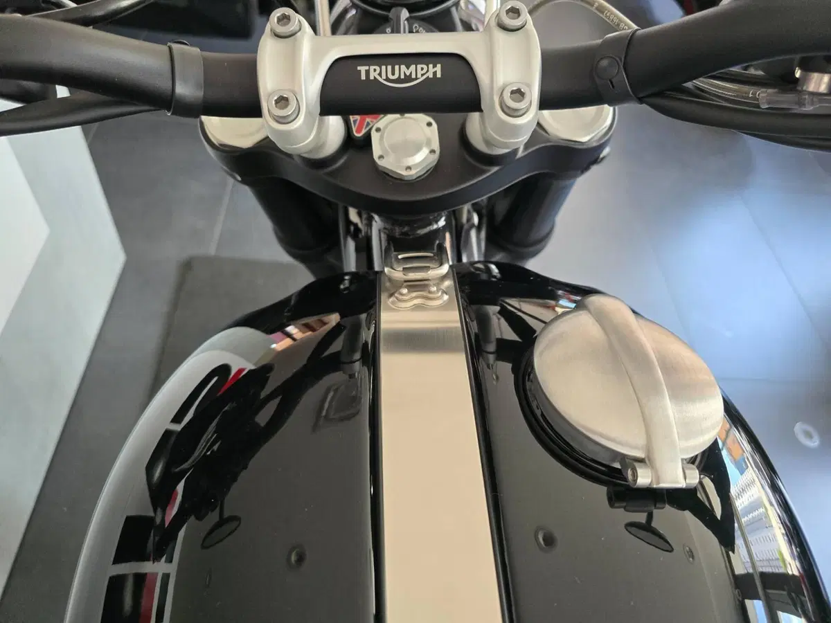 Triumph Scrambler 1200 X Icon Edition (2025 - 26) (9)