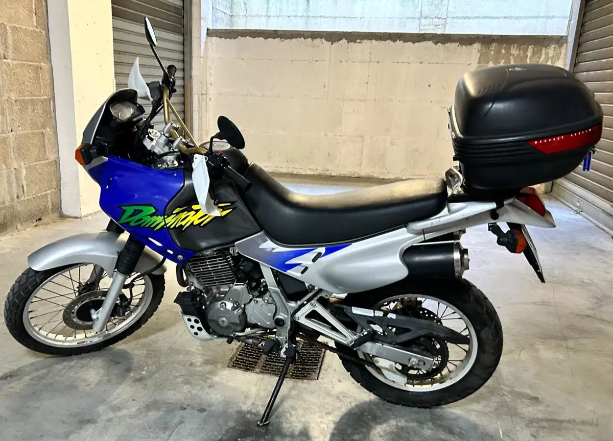 Honda Nx 650 Dominator (2)