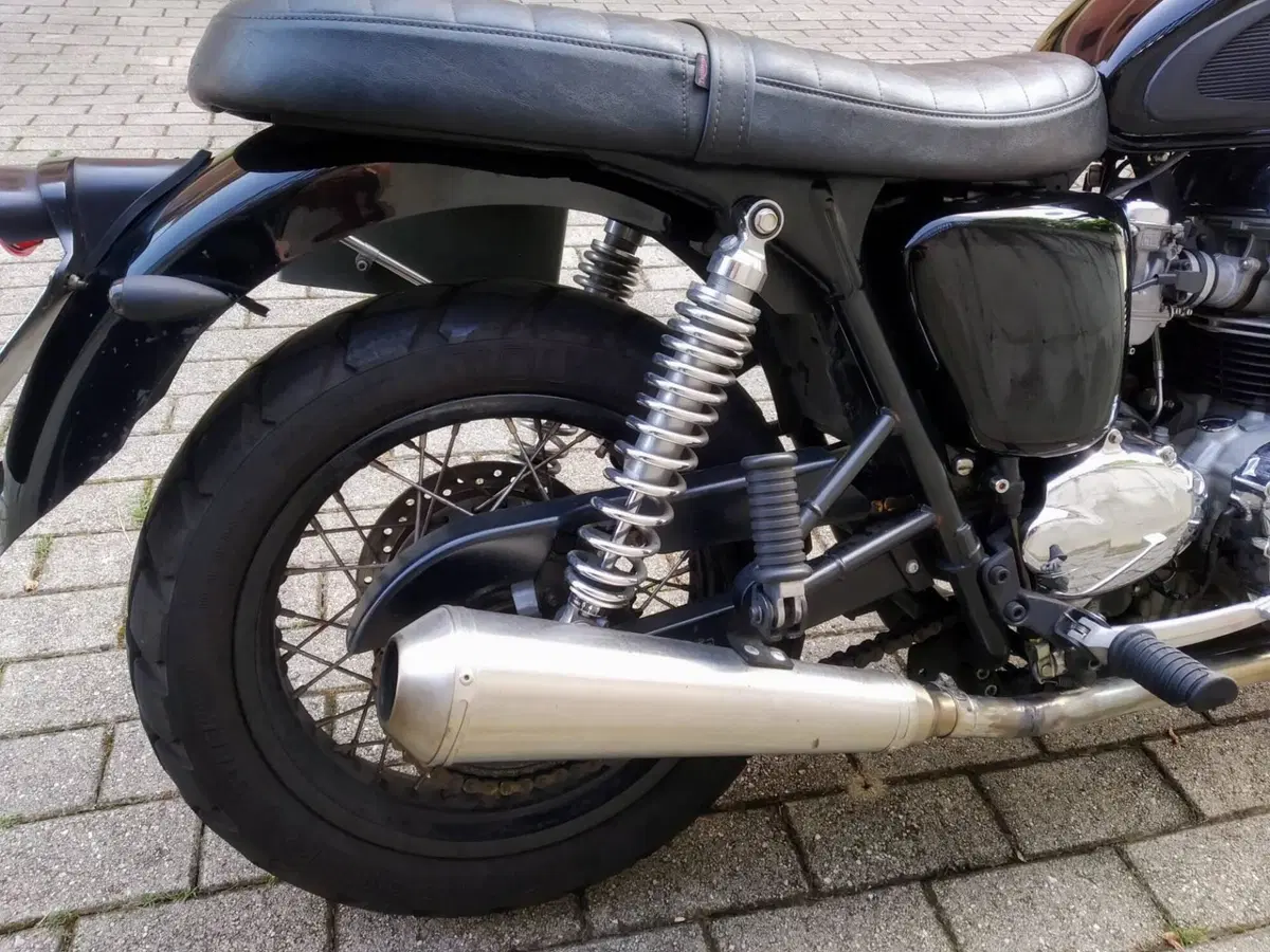 Triumph Bonneville T100 (2001 - 07) (3)