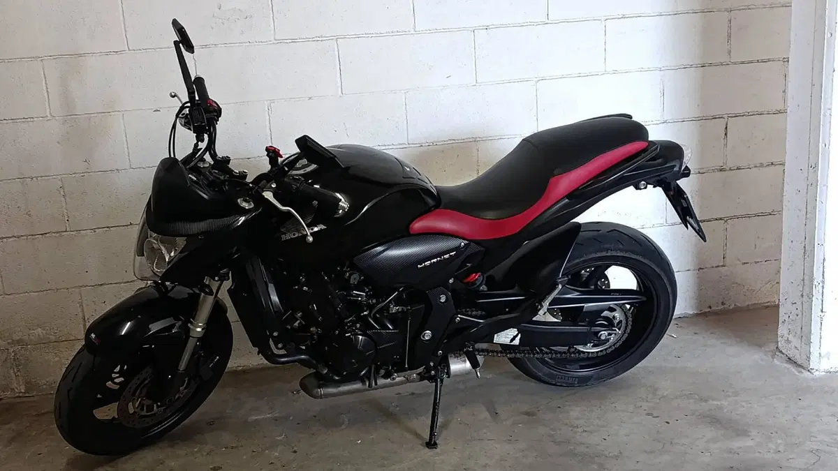 Honda Hornet 600 (2007 - 10) (2)