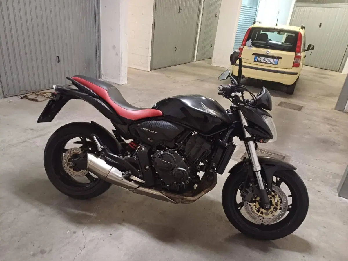 Honda Hornet 600 (2007 - 10) (4)