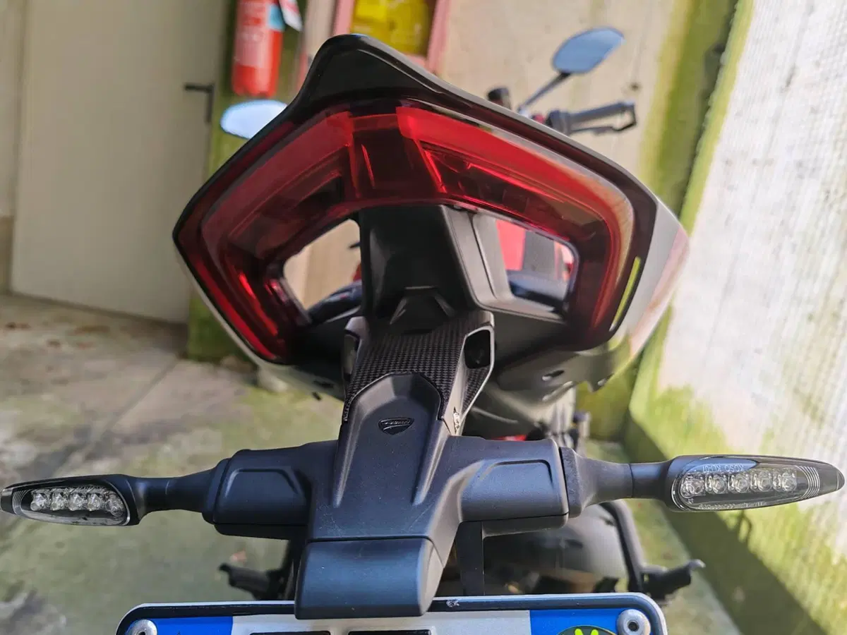 Ducati Streetfighter V4 1100 S (2020) (9)