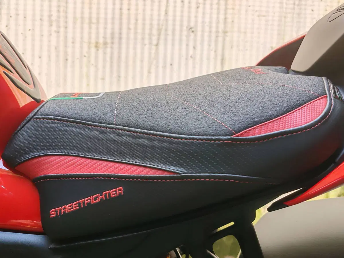 Ducati Streetfighter V4 1100 S (2020) (13)