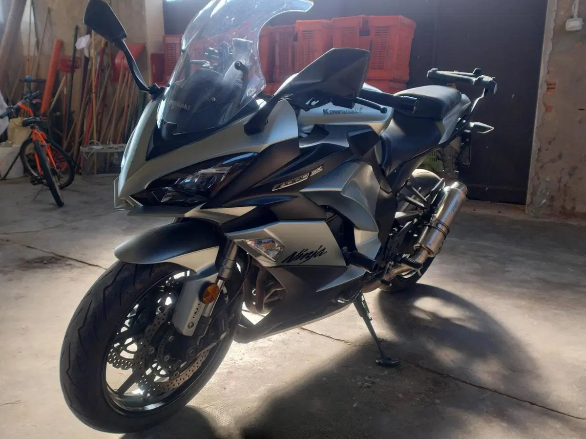 Kawasaki Z 1000 SX (2017 - 20) (4)