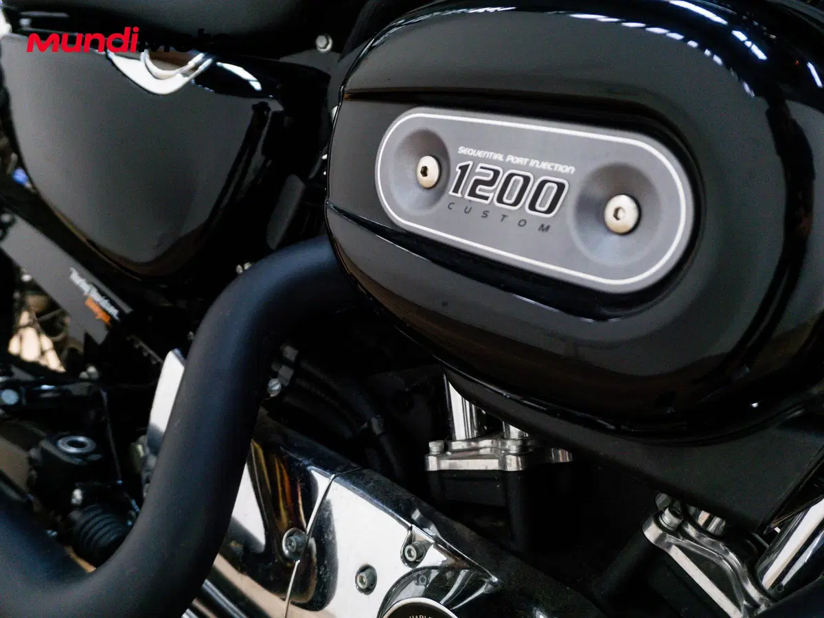 Harley-Davidson XL 1200 CX Roadster (2016 - 18) (12)