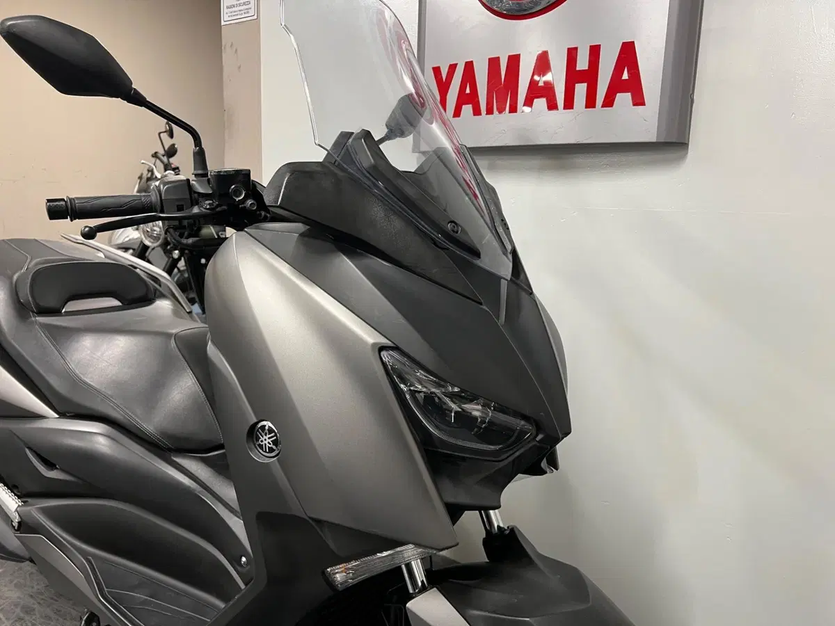 Yamaha X-Max 300 ABS (2017 - 20) (2)