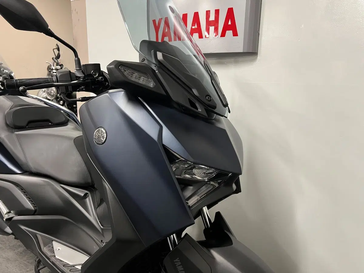 Yamaha X-Max 300 (2021 - 24) (2)