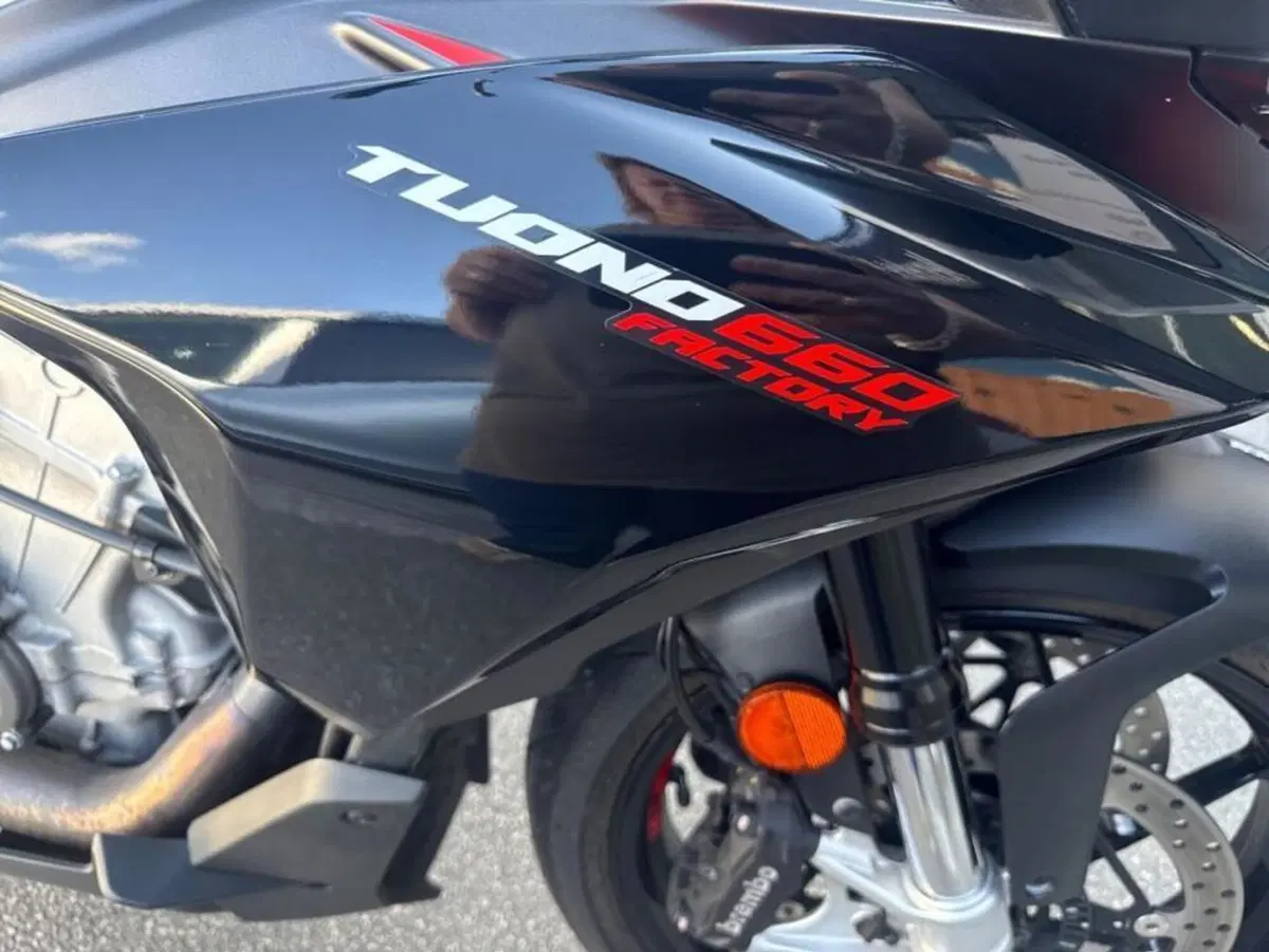 Aprilia Tuono 660 Factory (2022 - 24) (10)