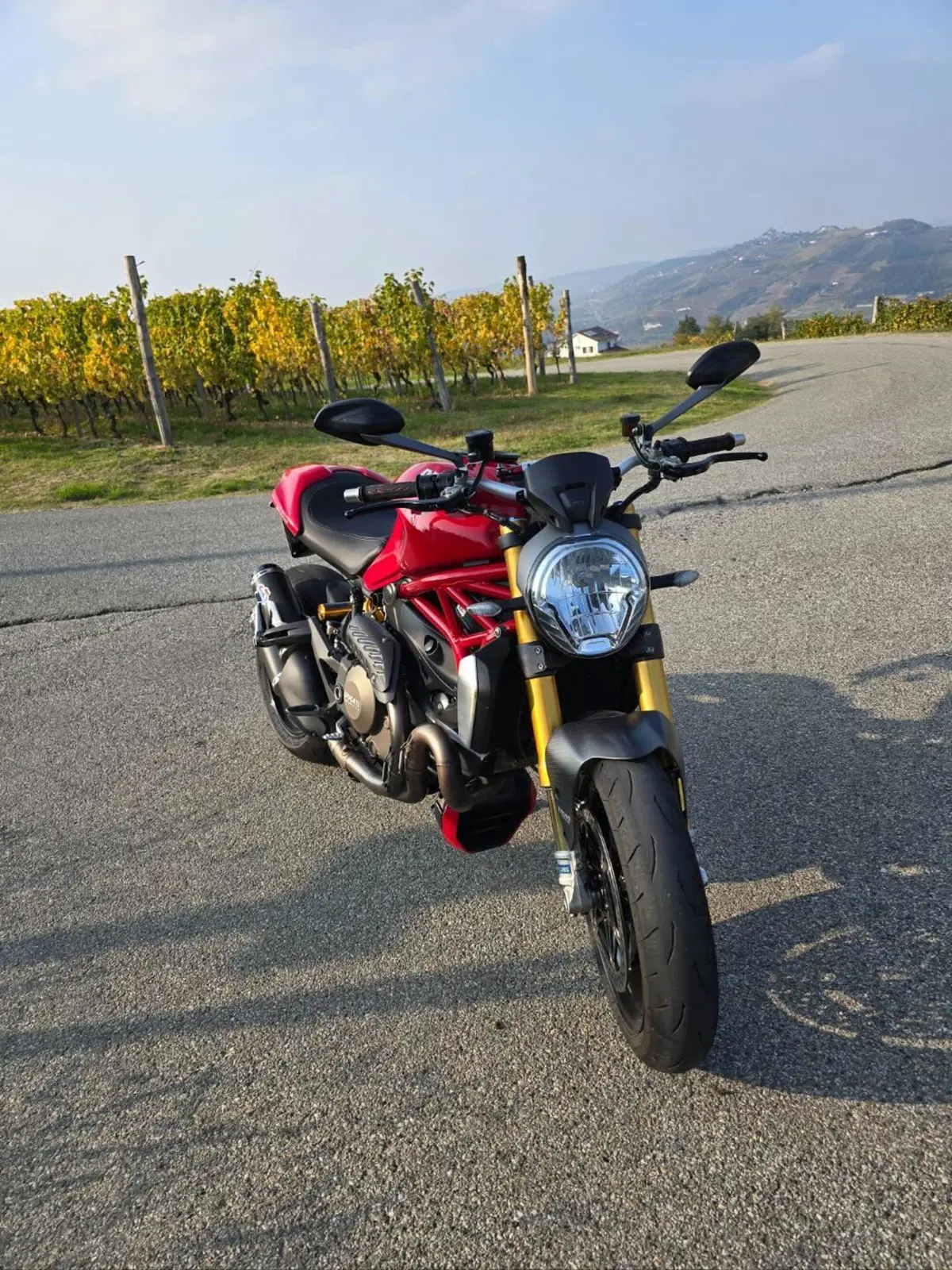 Ducati Monster 1200 S (2014 - 16) (2)