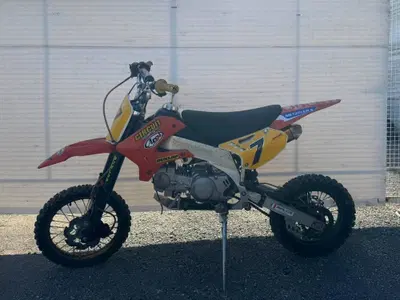  Altre moto o tipologie Pitbike usata