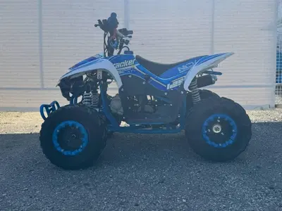  Altre moto o tipologie Quad usata