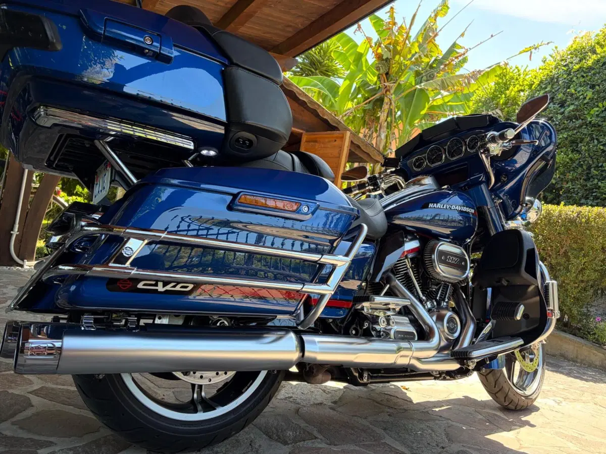 Harley-Davidson 117 Limited (2018 - 20) - FLHTKSE (14)