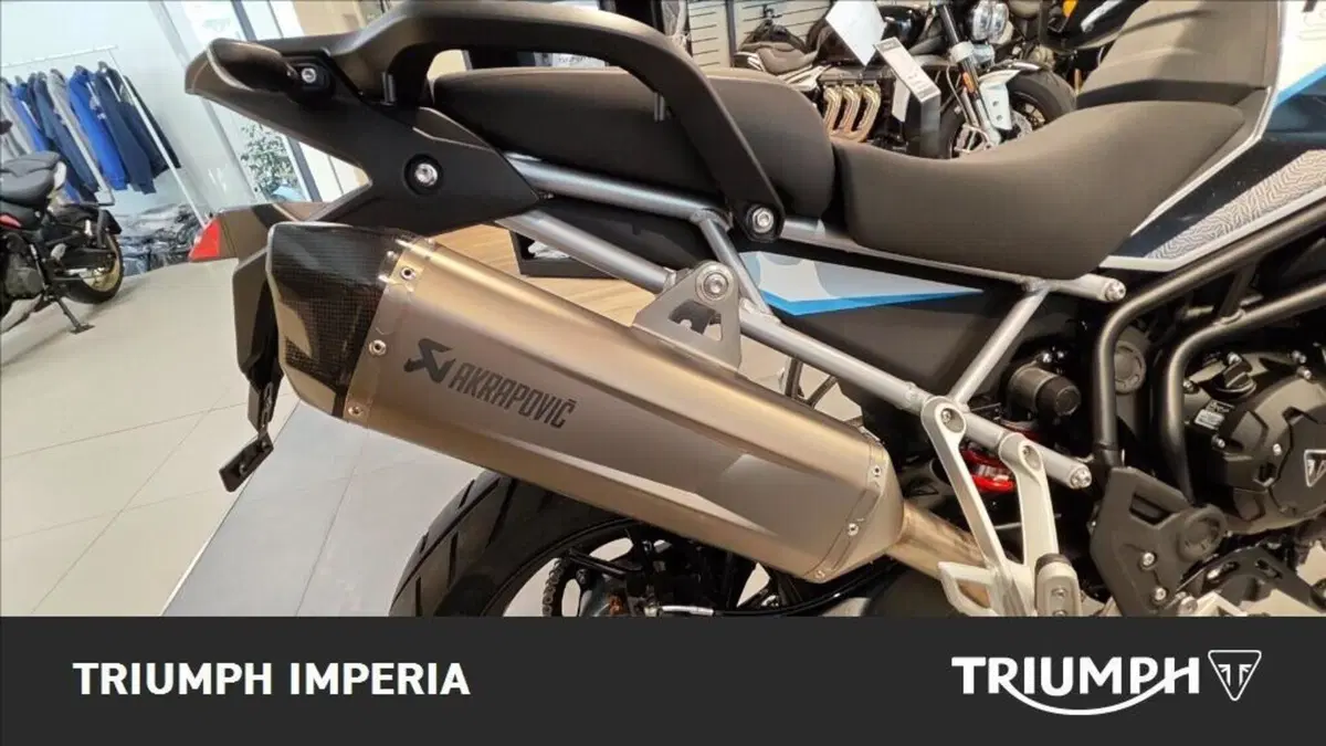 Triumph Tiger 900 Alpine Special Edition (2026) (3)
