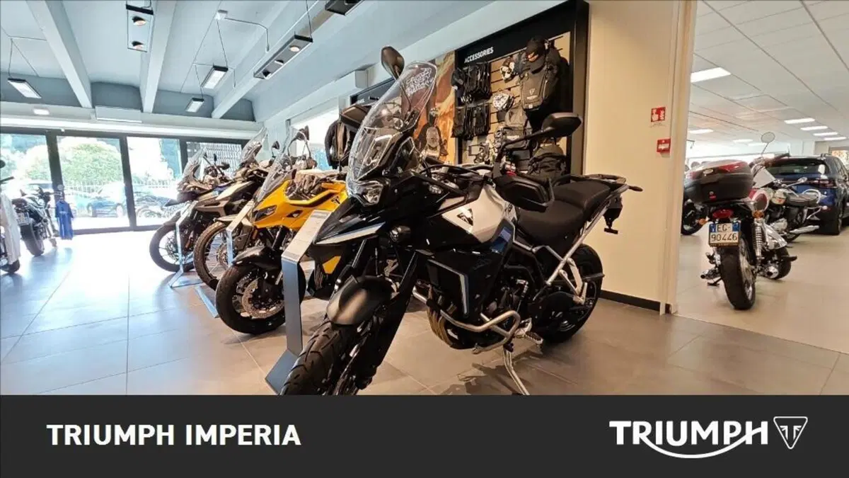 Triumph Tiger 900 Alpine Special Edition (2026) (4)