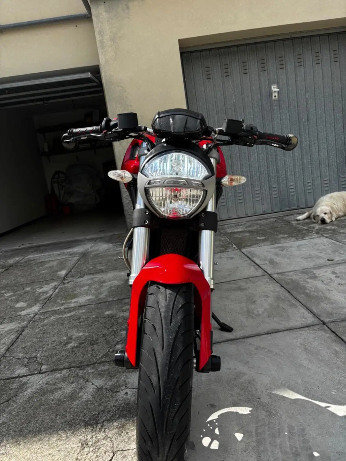 Ducati Monster 696 Plus (2007 - 14) (9)