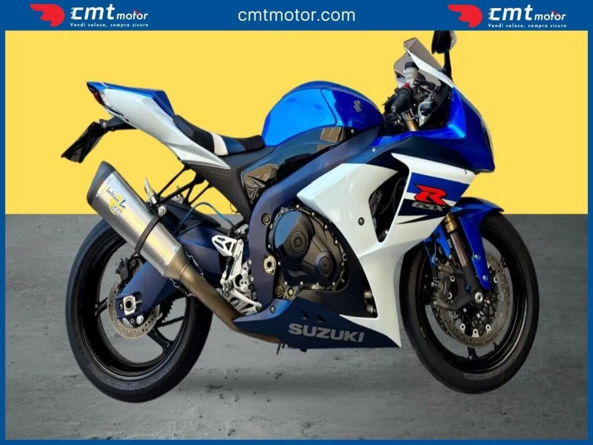 Suzuki GSX-R1000 (2009 - 11) (3)