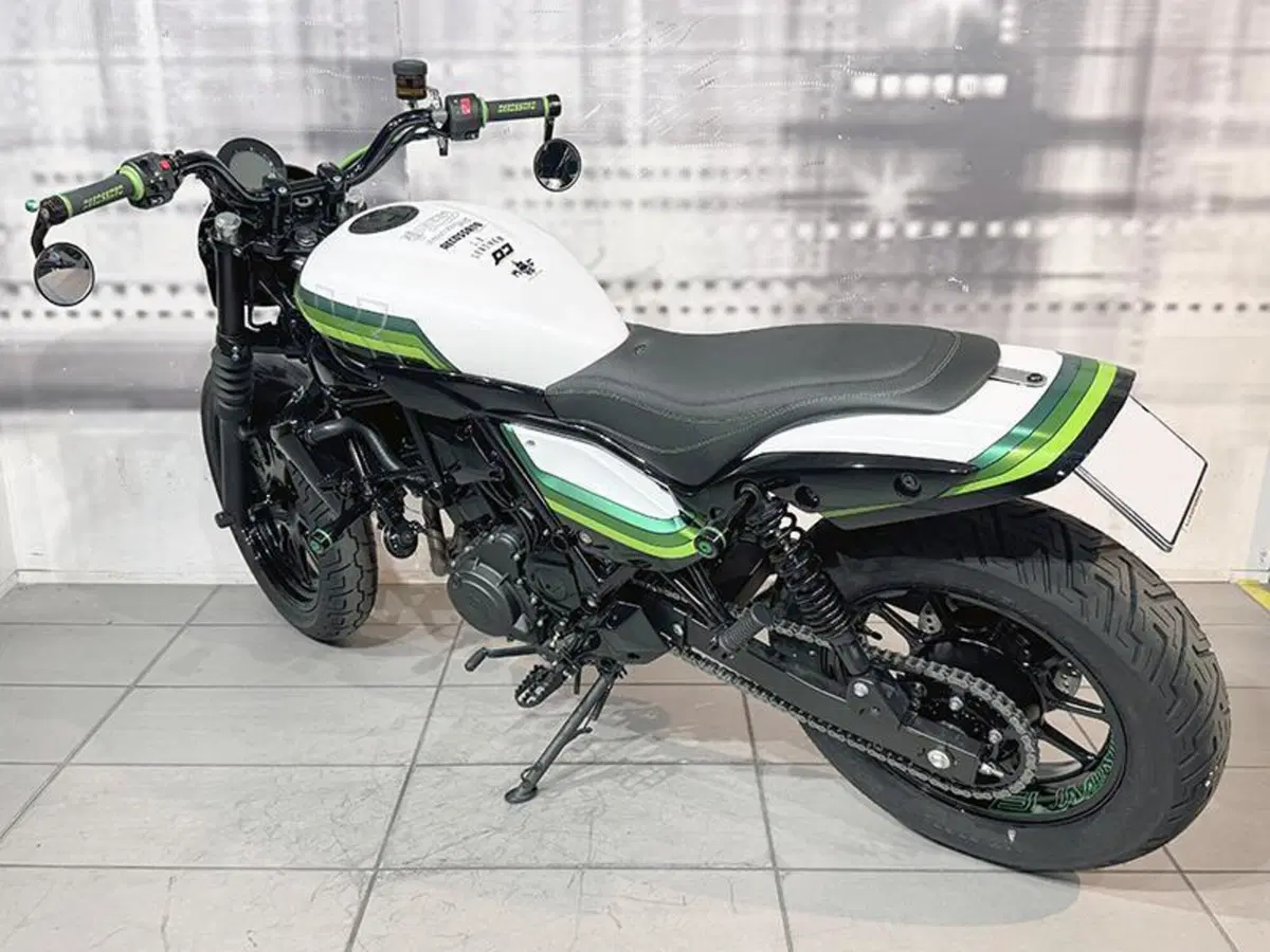 Kawasaki Eliminator 500 (2024 - 26) (2)
