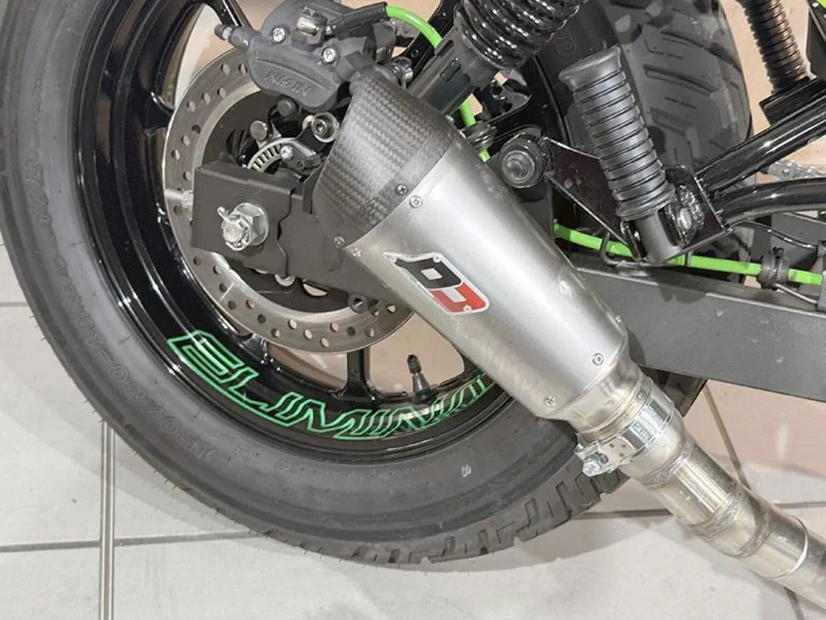 Kawasaki Eliminator 500 (2024 - 26) (3)
