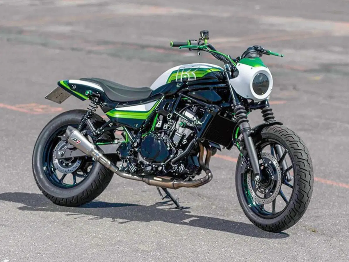 Kawasaki Eliminator 500 (2024 - 26) (4)