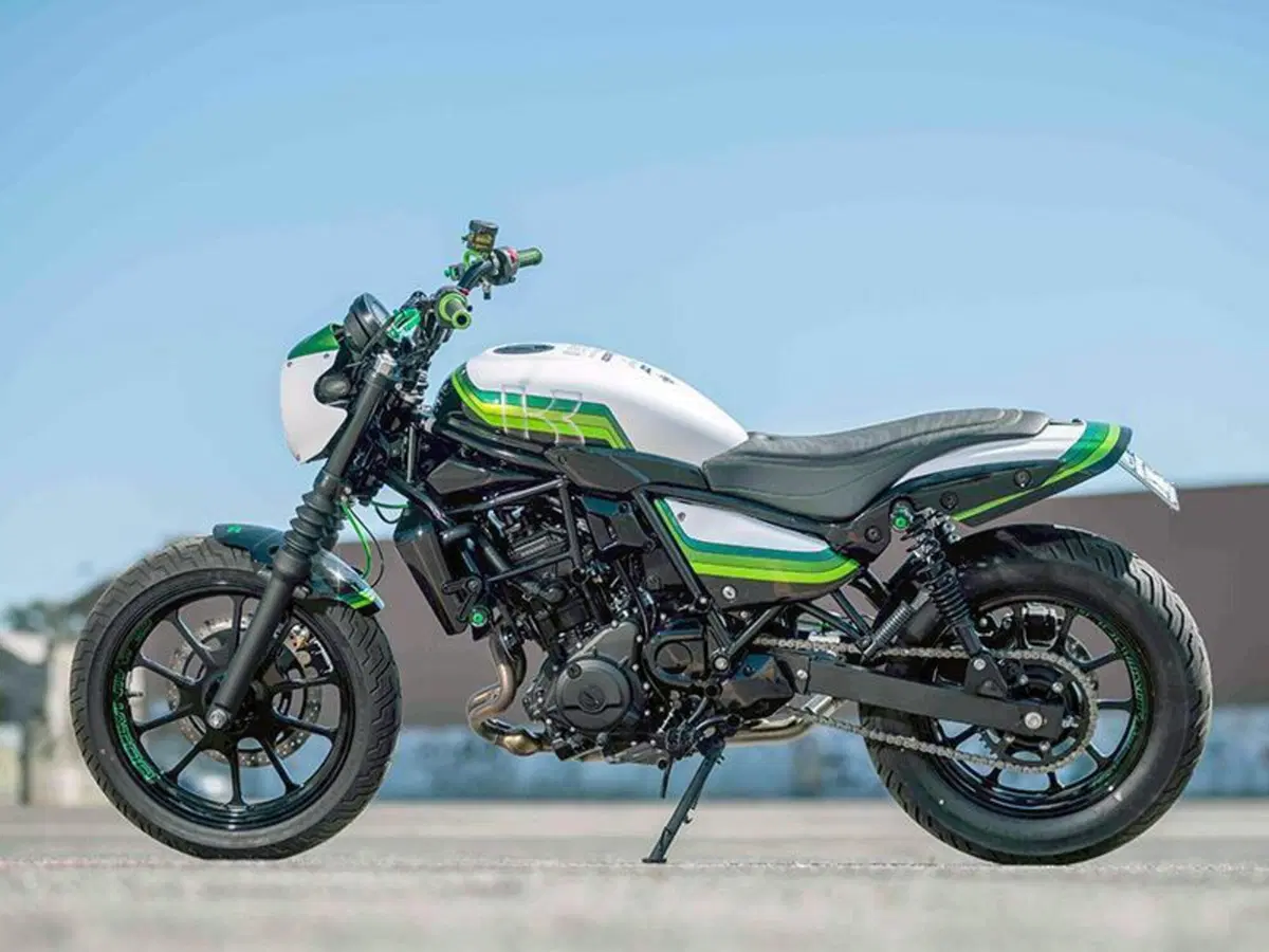 Kawasaki Eliminator 500 (2024 - 26) (5)