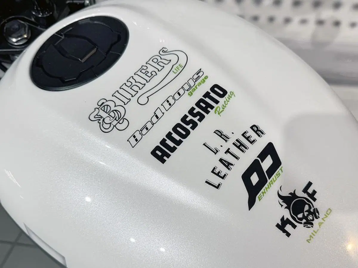Kawasaki Eliminator 500 (2024 - 26) (6)