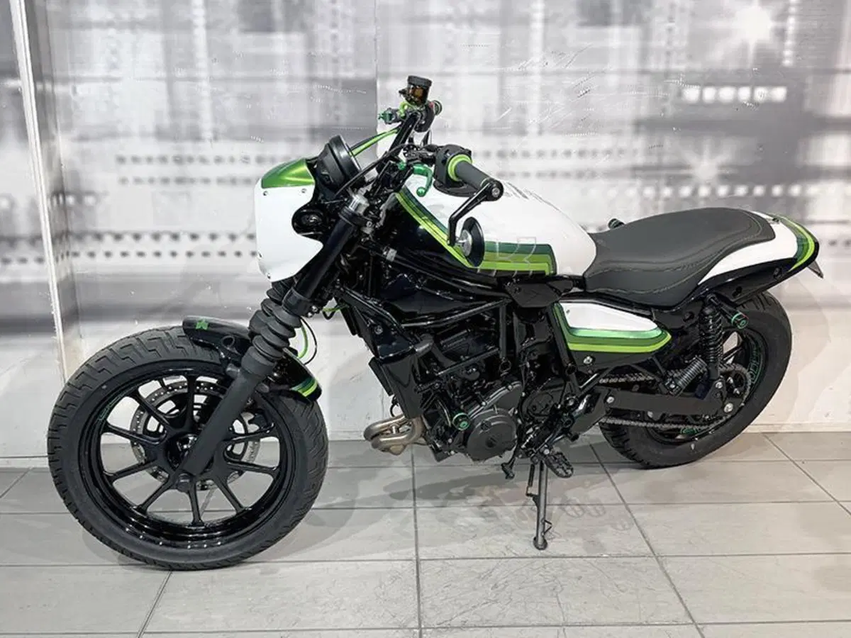 Kawasaki Eliminator 500 (2024 - 26) (7)