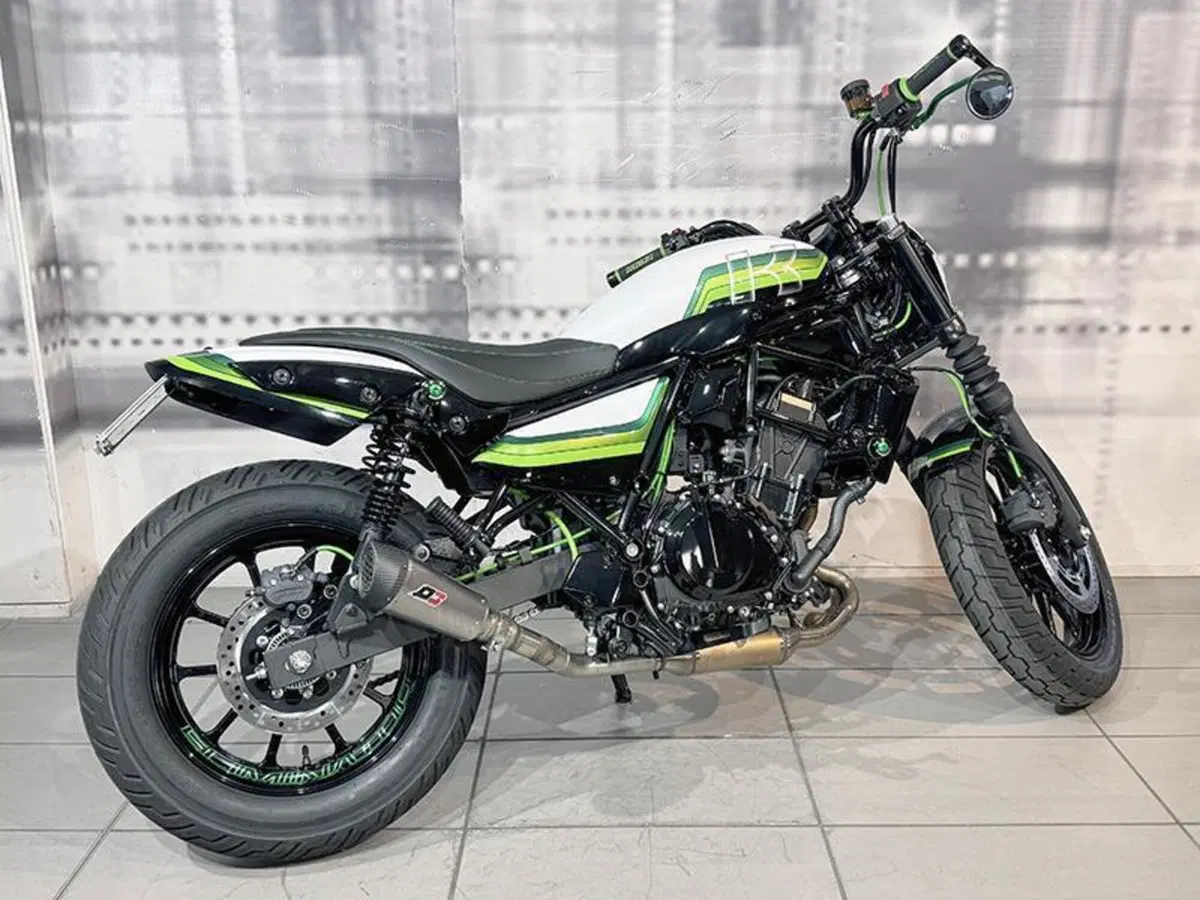 Kawasaki Eliminator 500 (2024 - 26) (8)