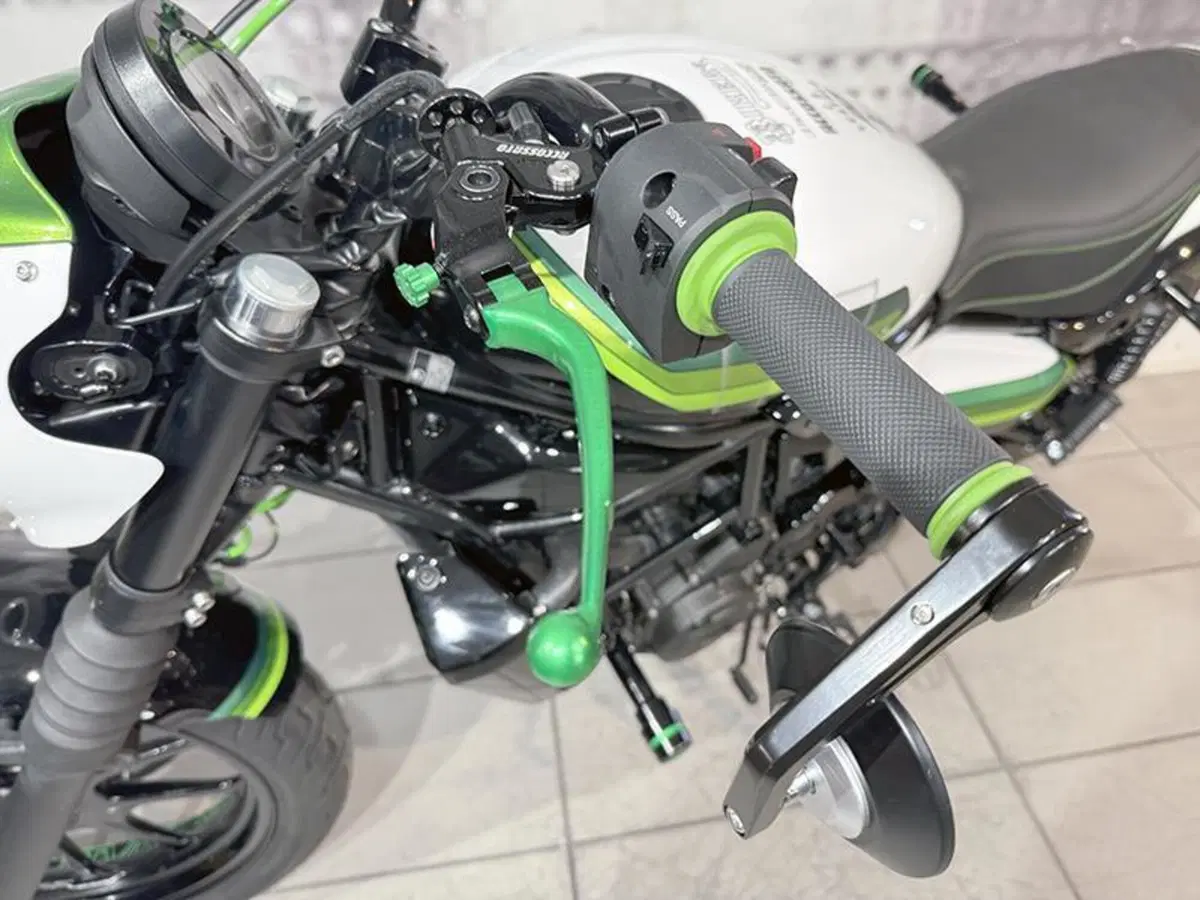 Kawasaki Eliminator 500 (2024 - 26) (9)