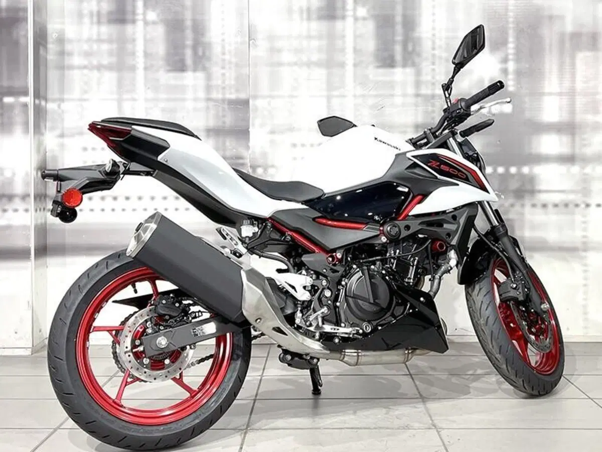 Kawasaki Z 500 SE (2024 - 26) (8)