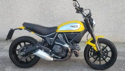 Ducati Scrambler 800 Icon (2015 - 16) usata