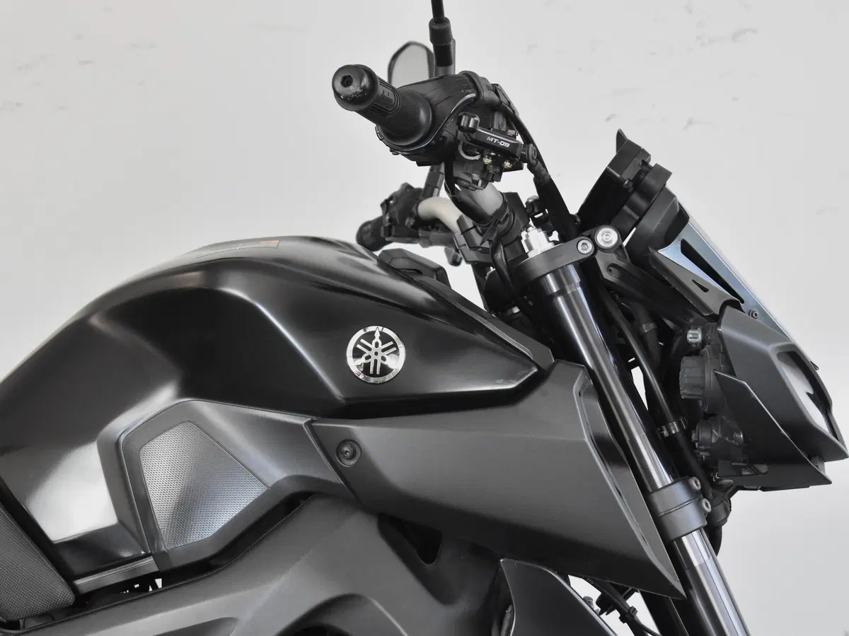 Yamaha MT-09 (2017 - 20) (11)