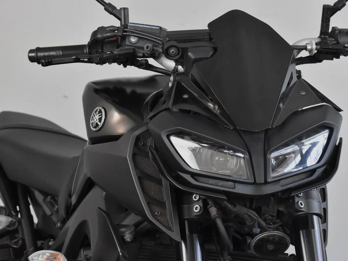 Yamaha MT-09 (2017 - 20) (14)