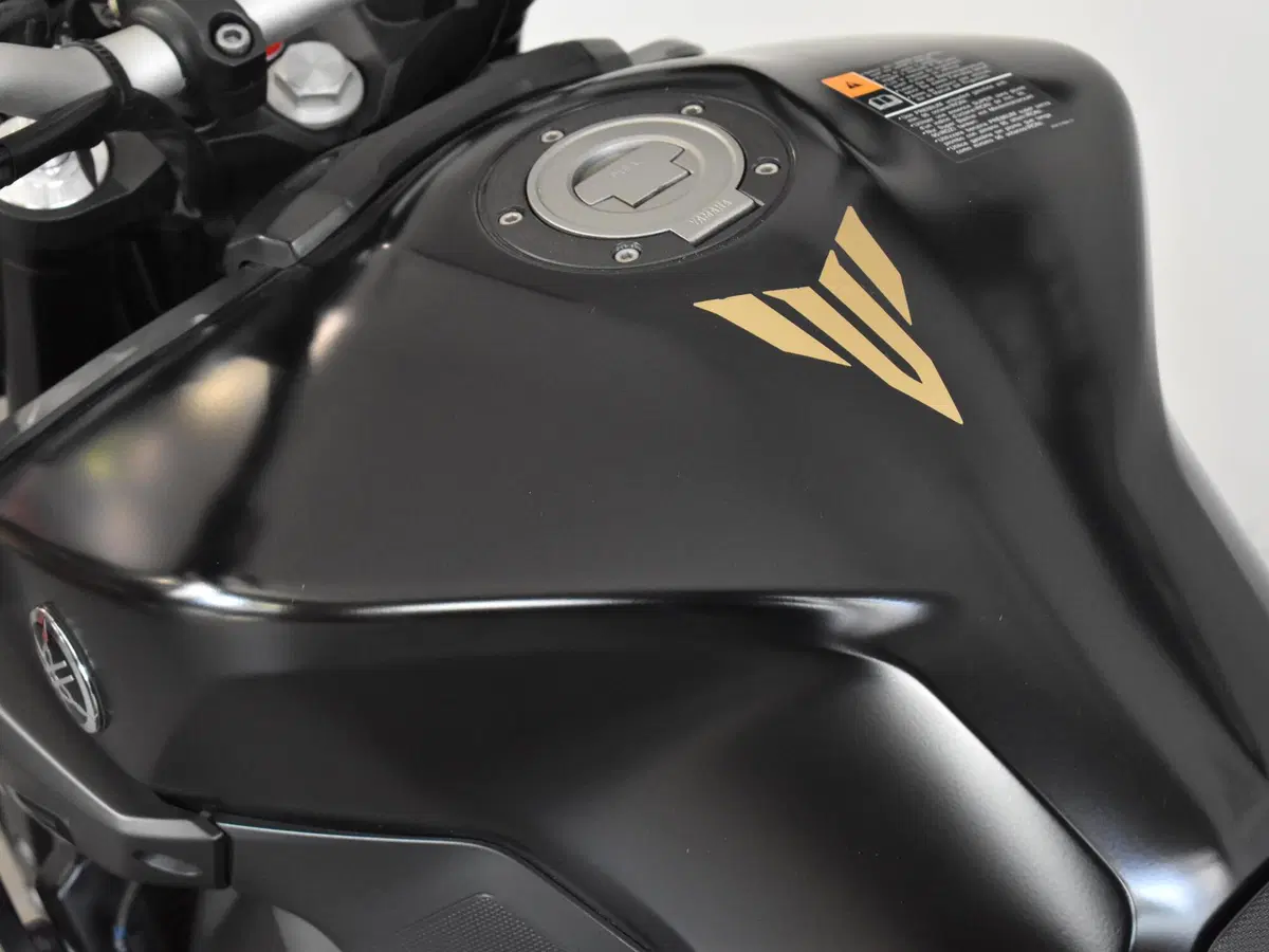 Yamaha MT-09 (2017 - 20) (17)