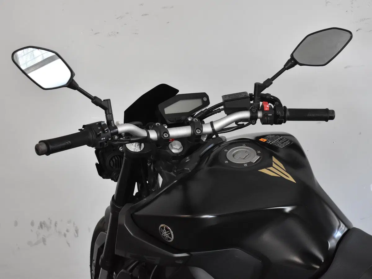 Yamaha MT-09 (2017 - 20) (19)