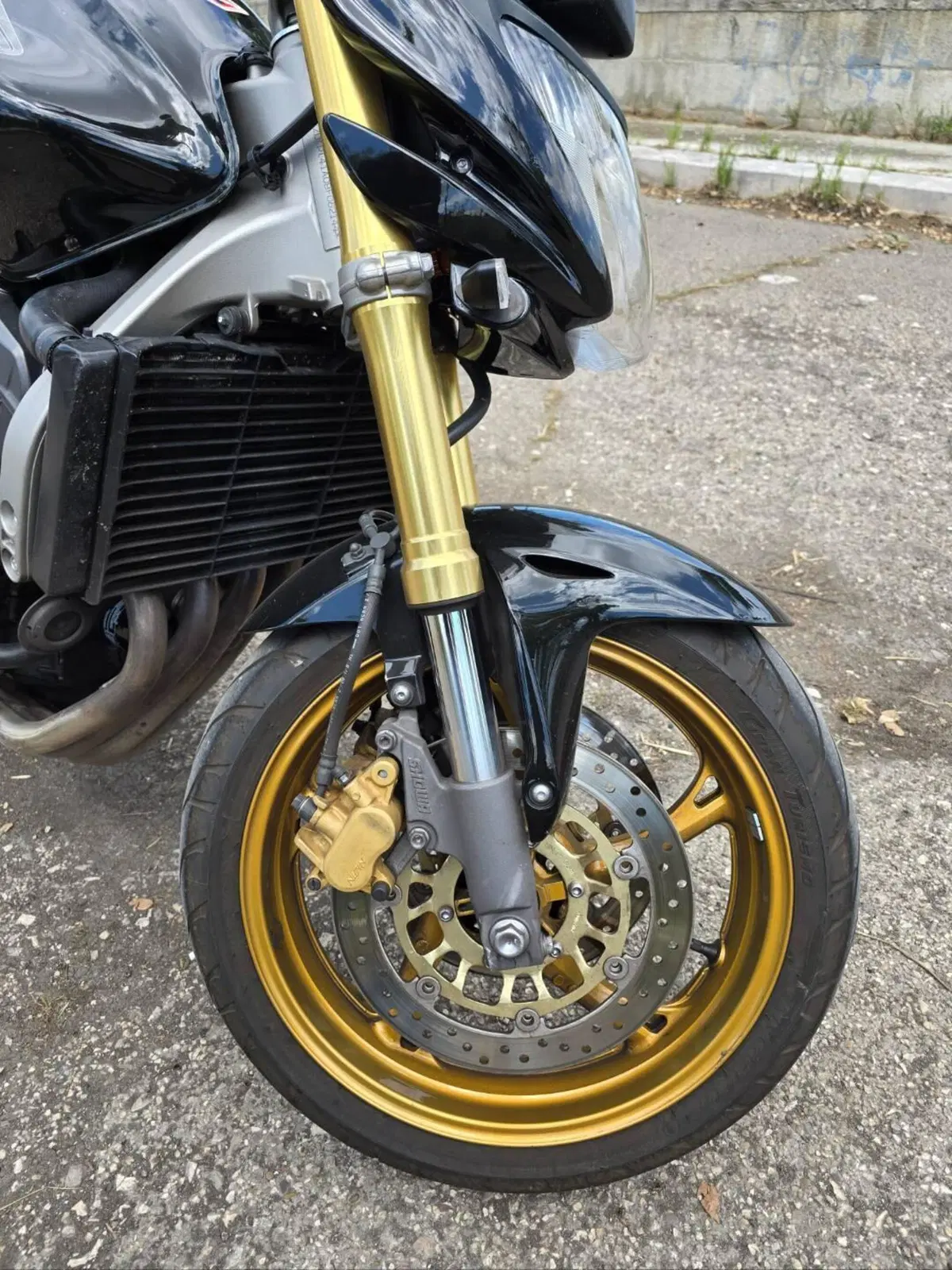 Honda Hornet 600 (2007 - 10) (6)