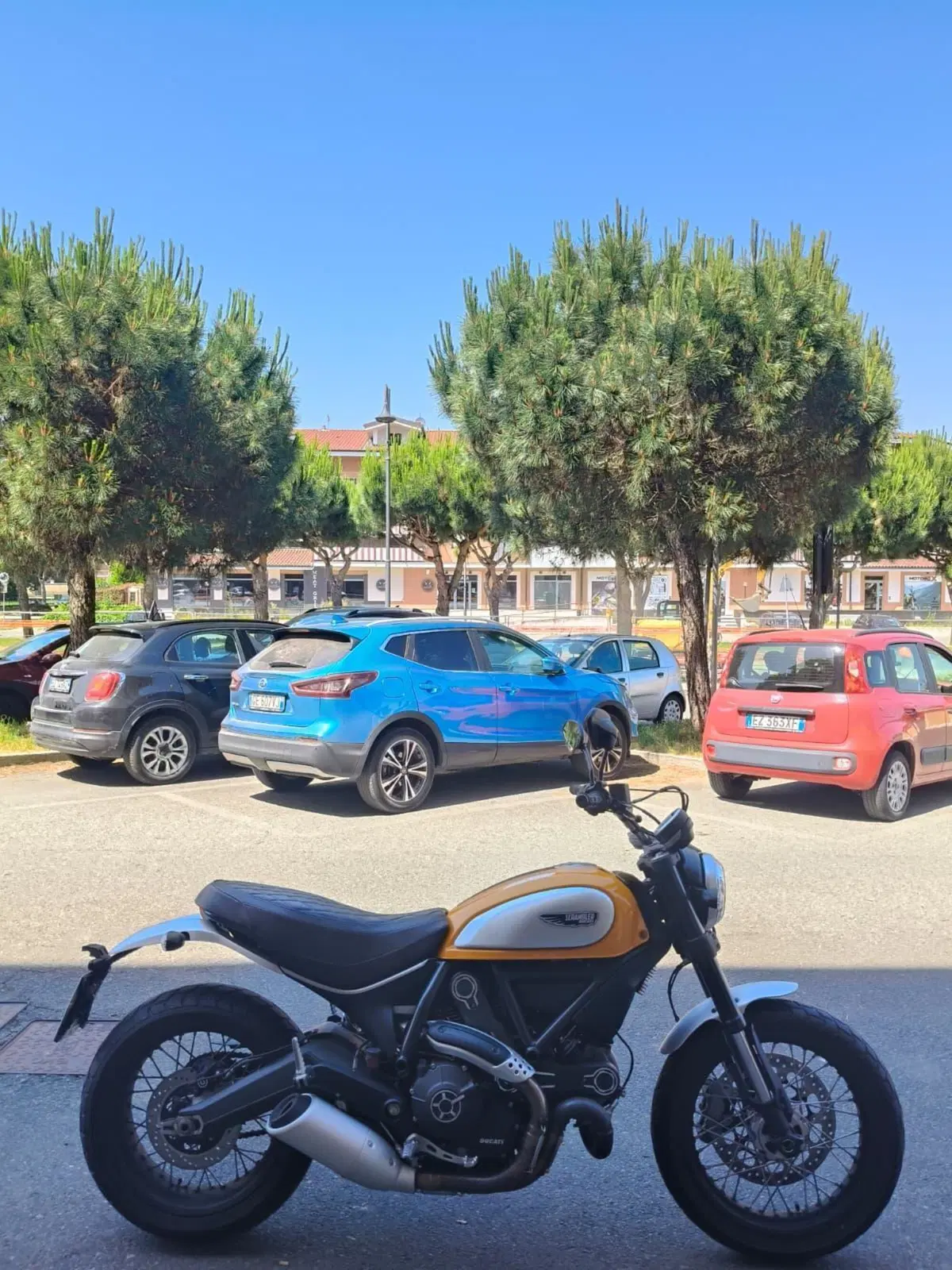 Ducati Scrambler 800 Classic (2015 - 16) (2)