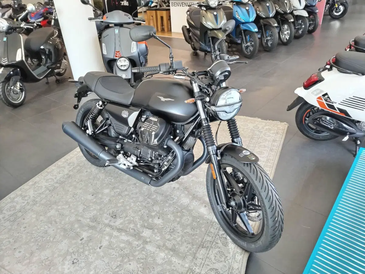Moto Guzzi V7 Stone (2025 - 26) (5)