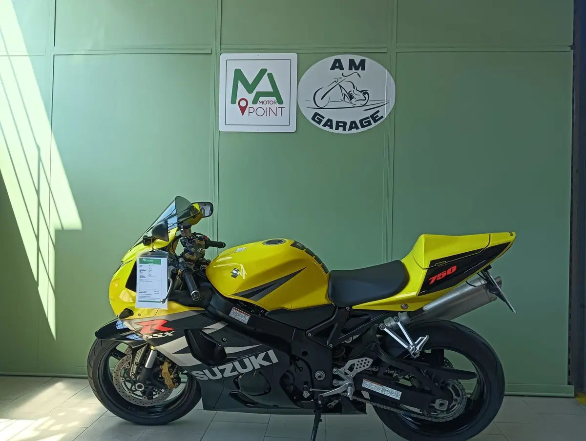 Suzuki GS 500 (2001 - 06) (2)