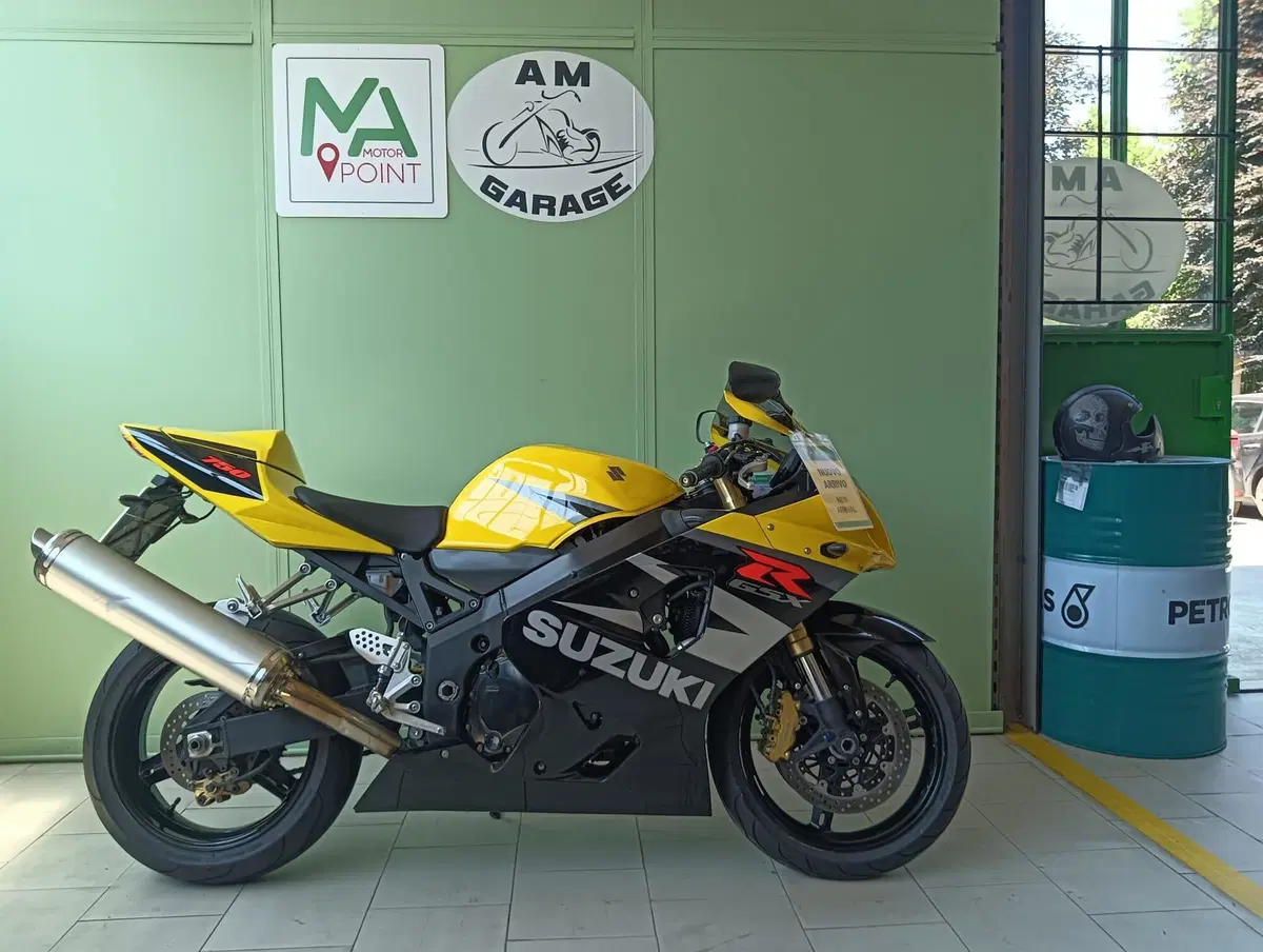 Suzuki GS 500 (2001 - 06) (4)