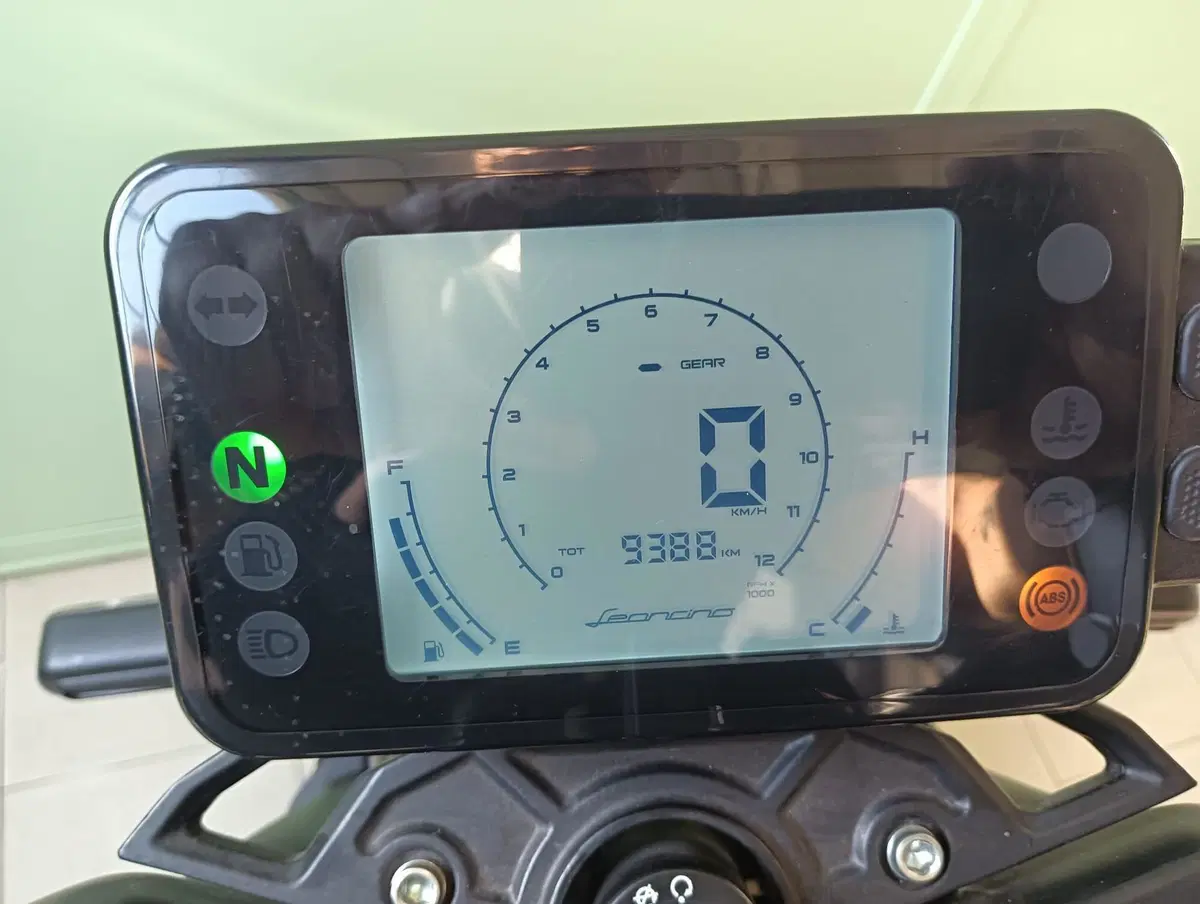 Benelli Leoncino 250 (2021 - 25) (4)
