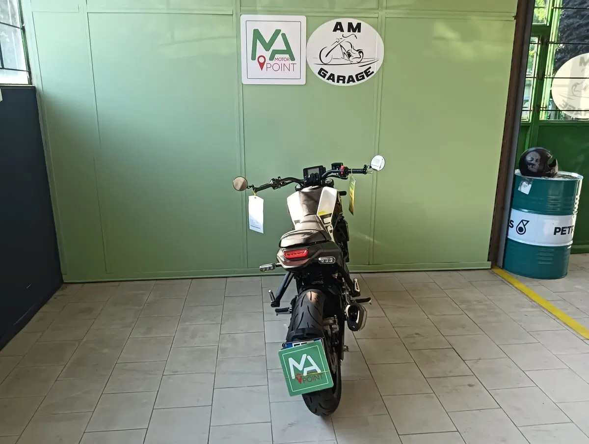 Benelli Leoncino 250 (2021 - 25) (5)