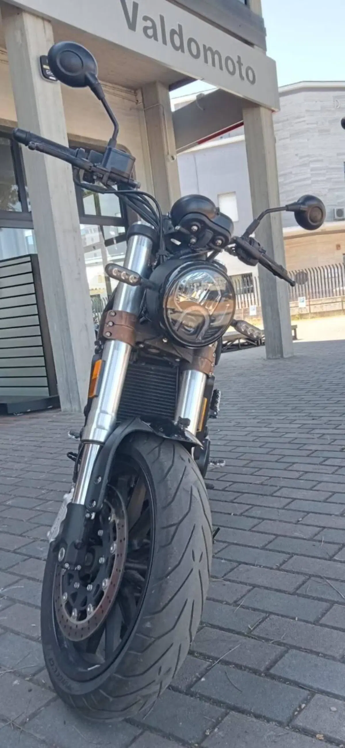 Benelli Leoncino 500 (2021 - 25) (3)