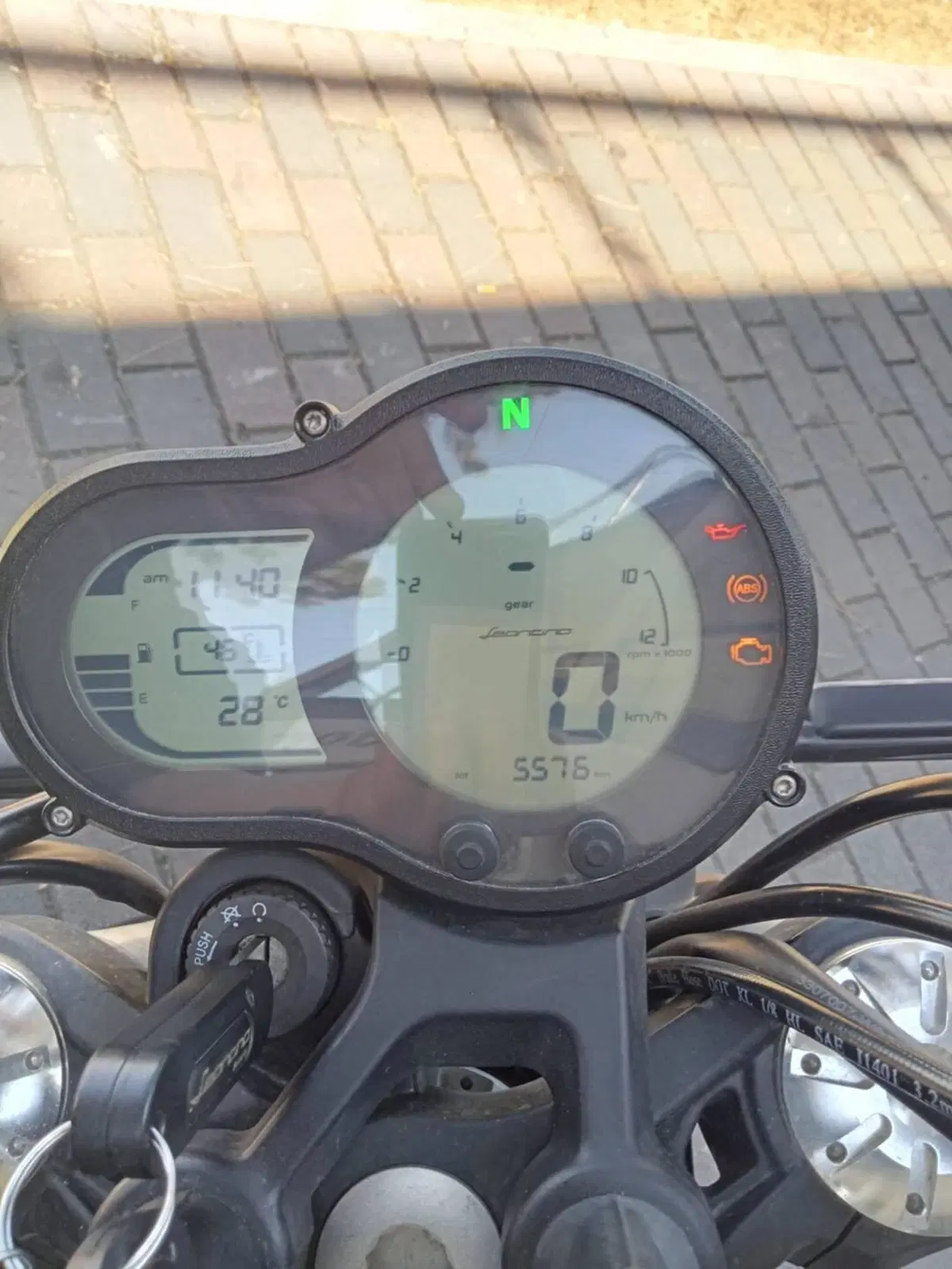 Benelli Leoncino 500 (2021 - 25) (5)
