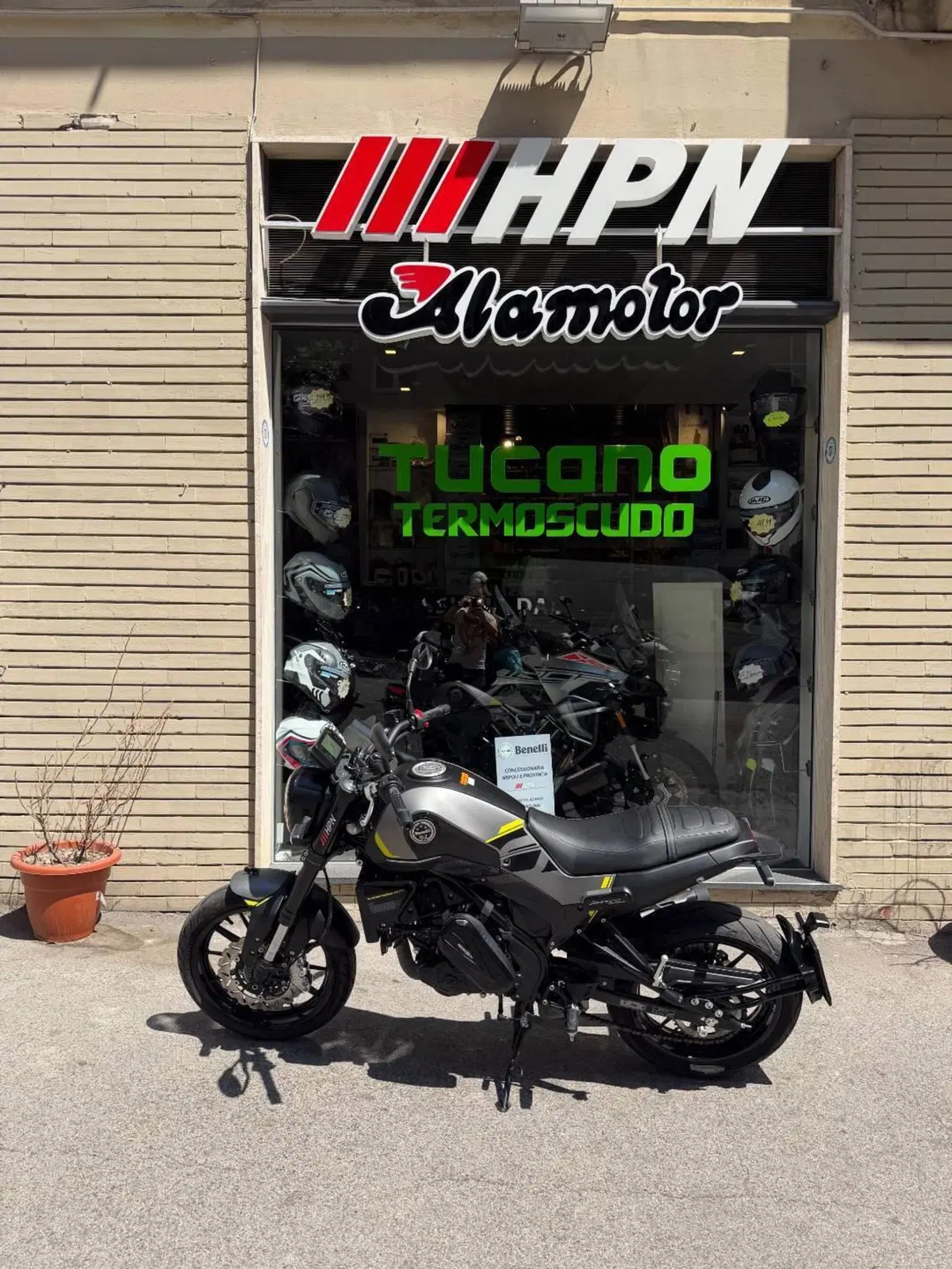 Benelli Leoncino 250 (2021 - 25) (2)