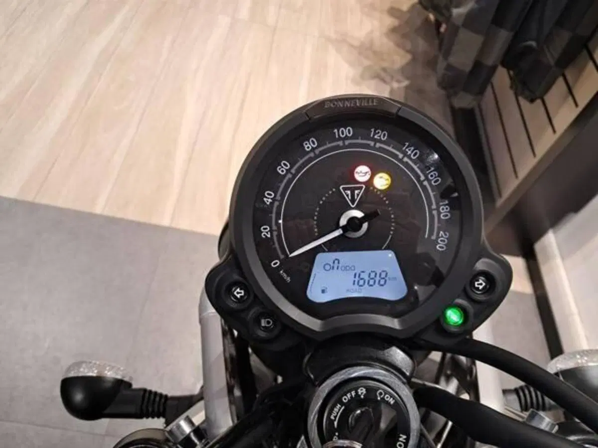 Triumph Scrambler 900 Icon Edition (2025 - 26) (3)