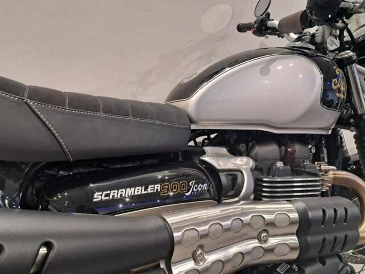 Triumph Scrambler 900 Icon Edition (2025 - 26) (4)