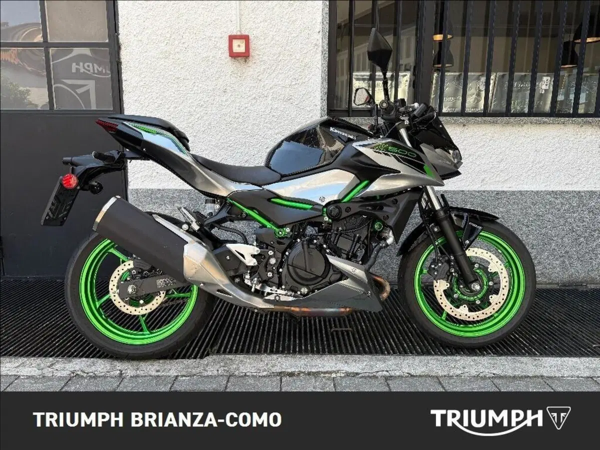 Kawasaki Z 500 (2024 - 26)